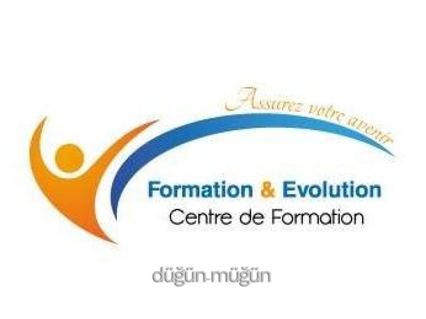Formation & Evolution - 1