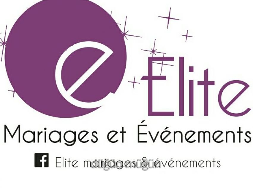 Elite Organisasyon - 1